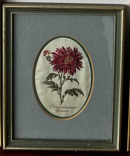 Framed botanical print - framed, j