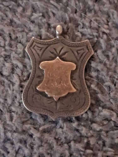 1898 steyning football - 1898-9,