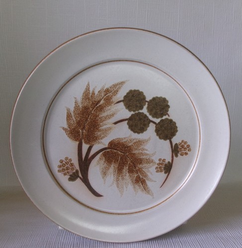 Denby cotswold 250mm - 250mm, dinner
