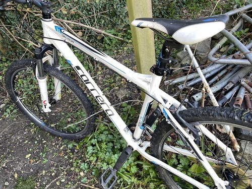 Carrera mountain bike - carrera, white