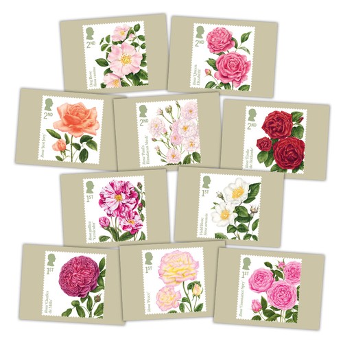 Roses postcards from royal - from,