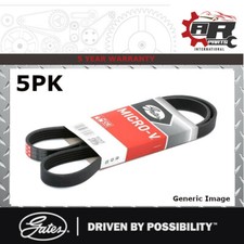 GATES 5pk 1123 5pk1123 Micro V