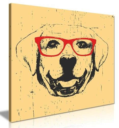Funny labrador dog with - dog,