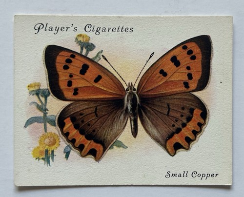Player cigarettes british - player’s,