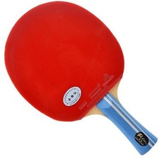 Palio star table tennis - table,