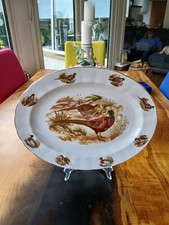 Pheasant Game Bird Large Oval Plate Platter Wall Decoration Staffordshire 18x12"