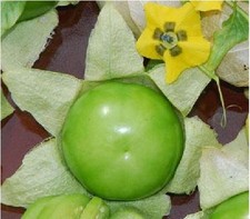Tomatillo Verde Seeds – 60