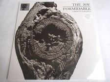 THE JOY FORMIDABLE - A