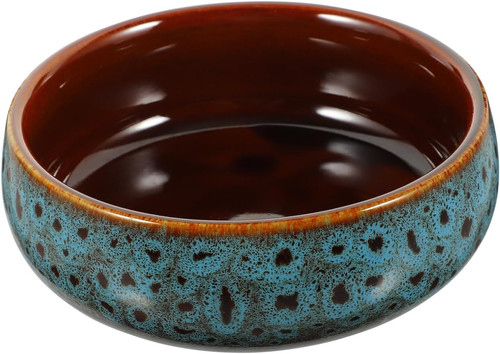 Glazed ceramic succulent - glazed,