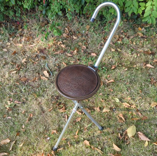 Vintage gamebird folding - vintage,