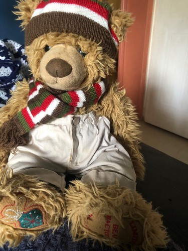 Bear factory teddy 40cm - teddy,