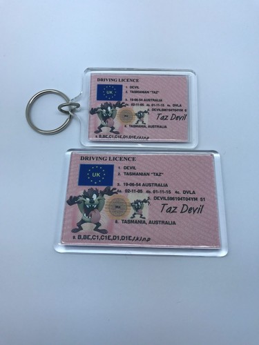 Taz devil tasmanian - taz,
