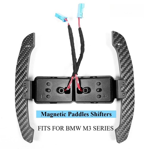 Magnetic real carbon - real, fiber