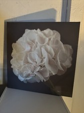 Large White Flower Canvas - 48x48 (F1)
