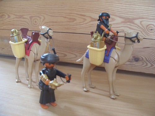 Playmobil 100 complete set - 100%,