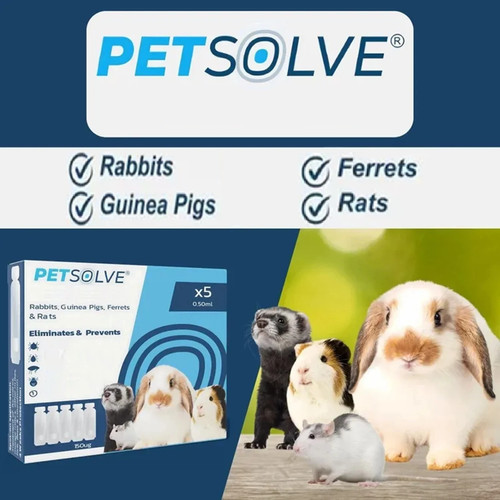Rabbit guinea pig mites - rabbit,