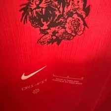 Nike Korea National Football