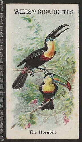Wills animals birds 1900 - &,