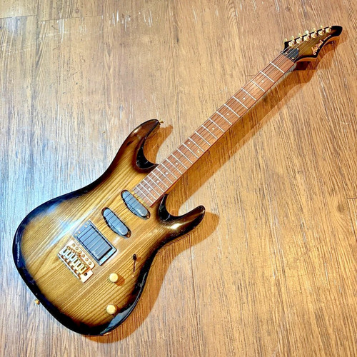 Aria pro magna - pro, ii