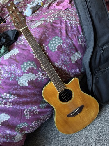 Electro acoustic guitar with - electro,