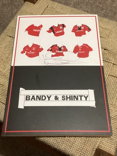 Bandy shinty 7 - bandy,