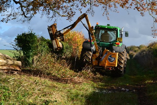 Photo 6x4 hedge cutting - hedge, in