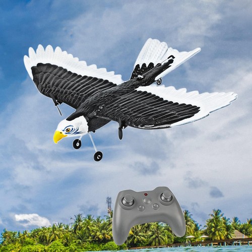 Glider eagle ready to - eagle,