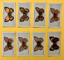 (A 53/1) WILLS’ “British