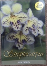 Streptocarpus by Rex Dibley