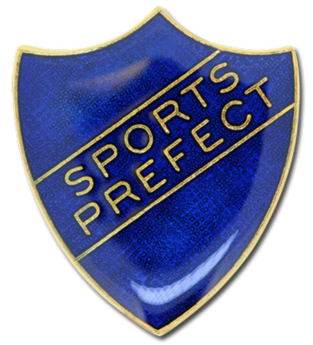 Sports prefect pin - pin, in