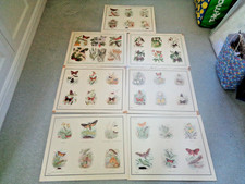7 SCHOOL POSTERS  BUTTERFLIES & MOTHS FROM 1950S/60S SIZE  23" X 17" AS PHOTOS