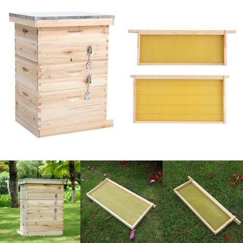 Pro beekeeper beehive - pro,