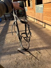 Black Flash Bridle Size Cob