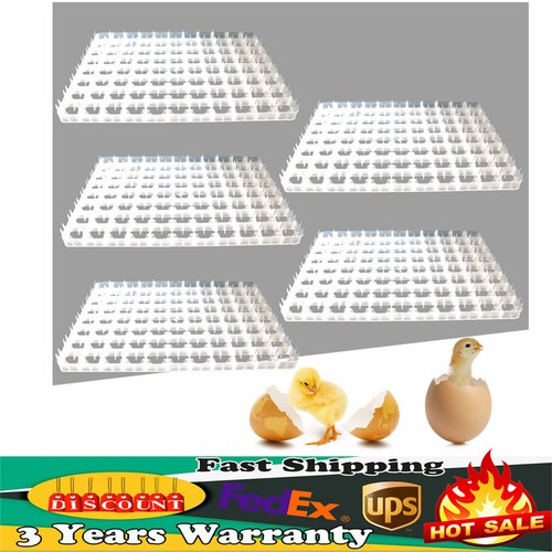 Egg hatching incubator - 5*egg, trays