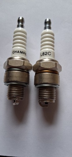Pair champion spark - pair, of