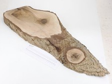 Waney Edge English Walnut