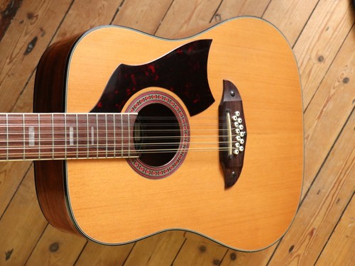1978 eko rio - bravo, string
