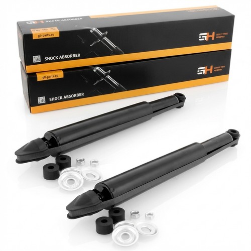 Gas shock absorbers rear - 2x,