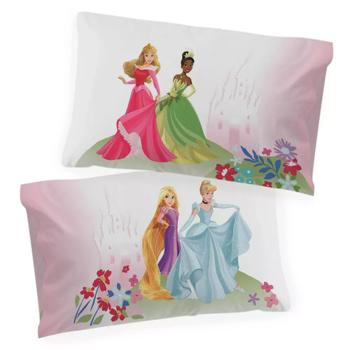 Disney princess standard - disney,