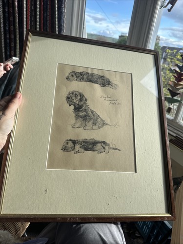 Cecil aldin framed print - framed,