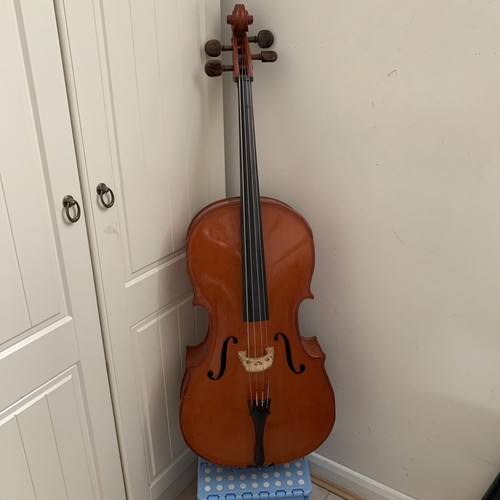 Reghin size cello with - size,