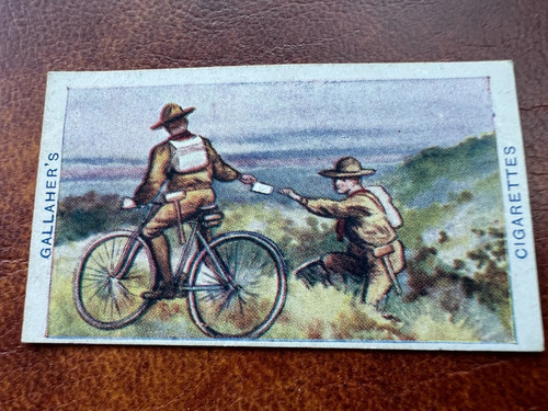 Gallaher cigarette card - cigarette,
