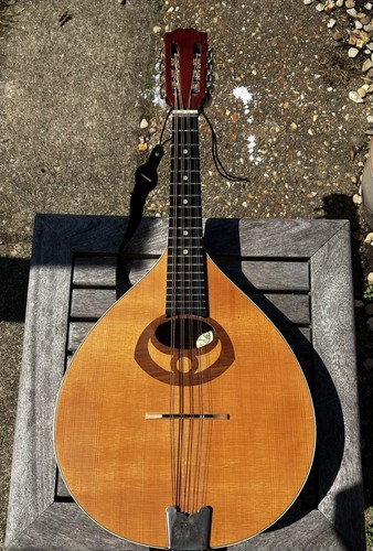 Tenor mandola - tenor,