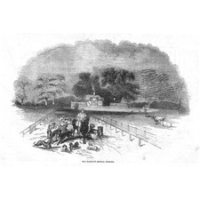 WINDSOR Her Majesty's Dog Kennels - Antique Print 1846