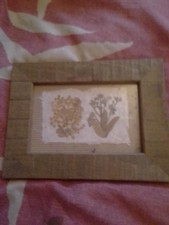 Joanna Sheen Pressed Flower