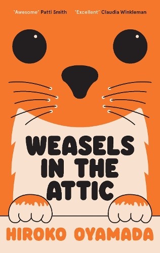 Weasels the attic - weasels, attic,