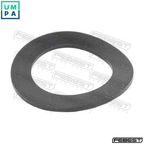 Seal oil filler - neck, cap