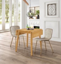 Dining Set with 2 Chairs