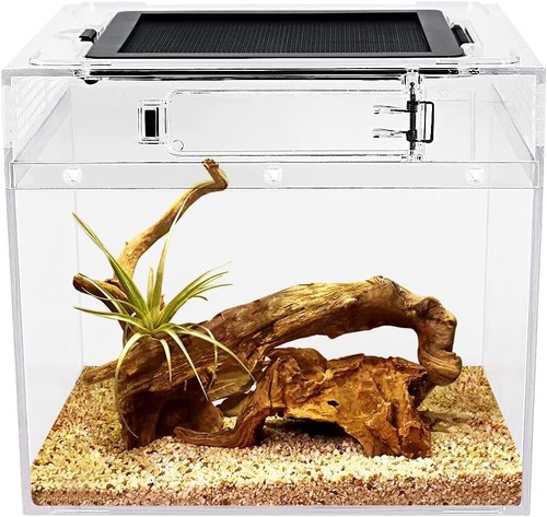 Reptile terrarium 7 - reptile, x