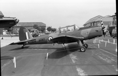 Wp964 chipmunk army - wp964,